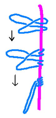 푸르직 매듭(Prusik Knot)